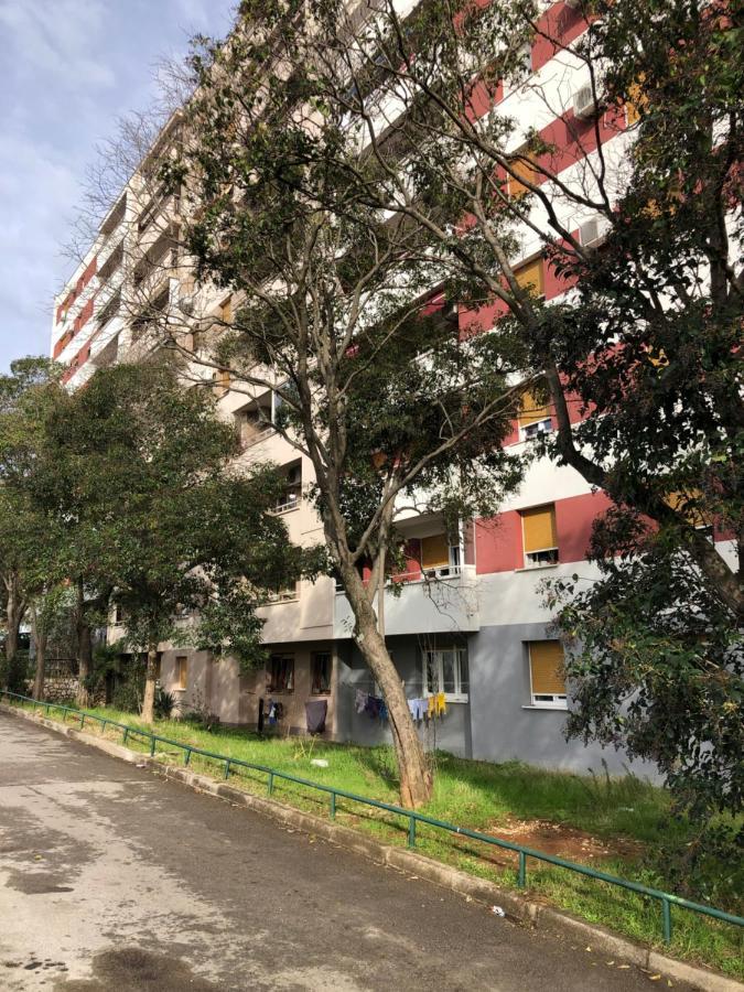 Apartament Domestico